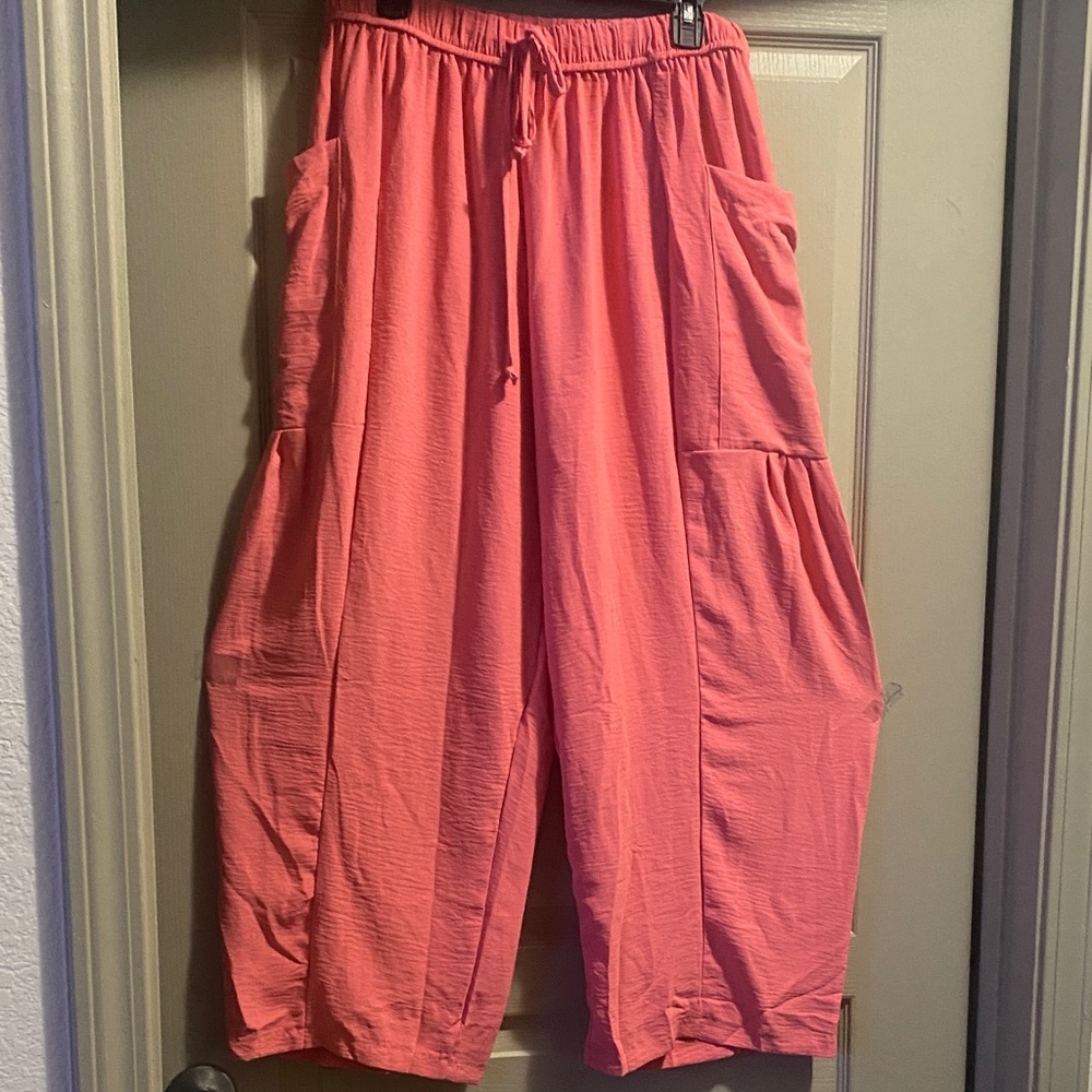 Free People Pink Ankle-Length Pants